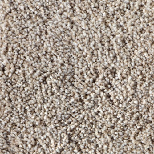 Carpet Collection by Garvey's Exclusive - Natural Stone