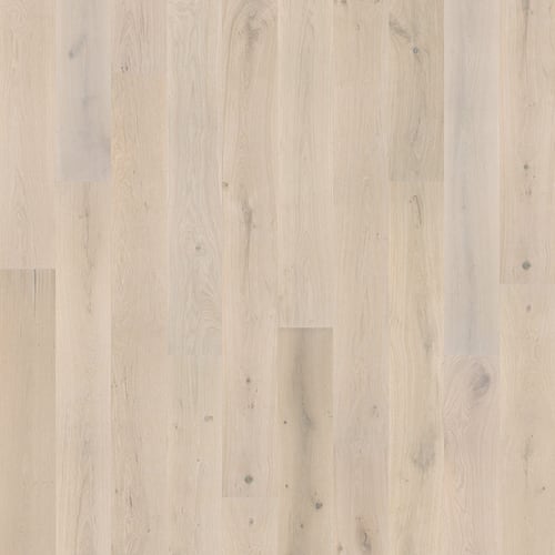 Milky Way Collection by Slcc Flooring