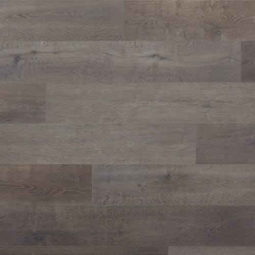 Surge - Dunes by Evoke Flooring - Brenda