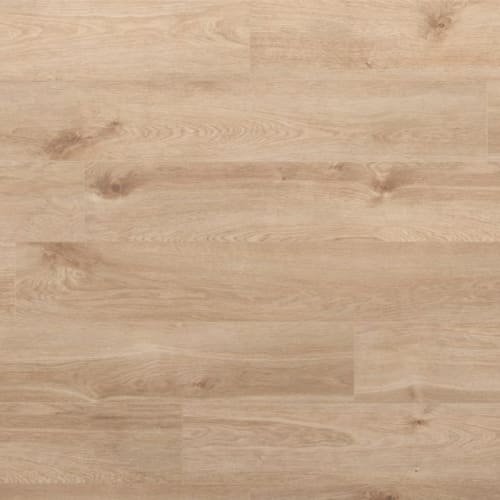 Surge - Dunes by Evoke Flooring - Ryland