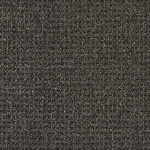 Coal