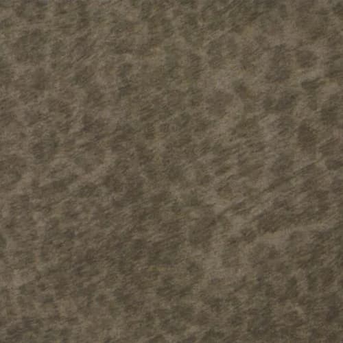 Flotex - Cleo by Forbo Flooring - Kitten