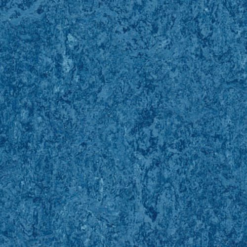 Marmoleum - Cinch Loc Seal by Forbo Flooring - Blue