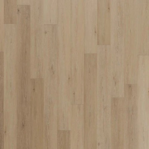 Regency Oak Polished Platinum