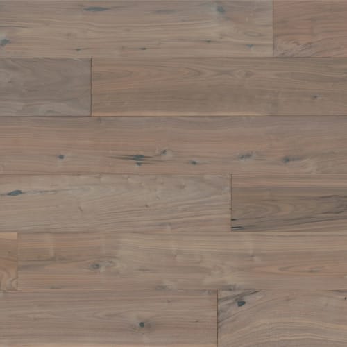 Durban Oak