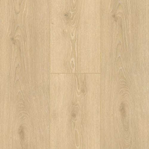 Chaplin Plank by Family Friendly Flooring - Gilbert