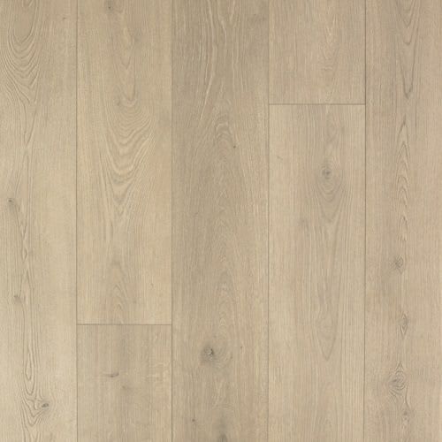 Chaplin Plank by Family Friendly Flooring - Reynolds