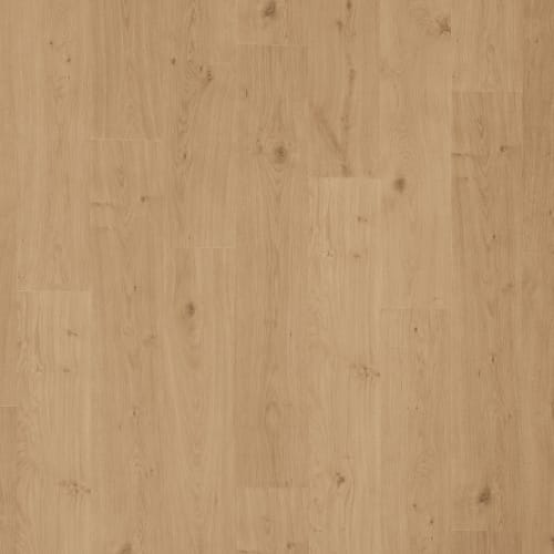 Reeves Plank by Family Friendly Flooring - Hoover