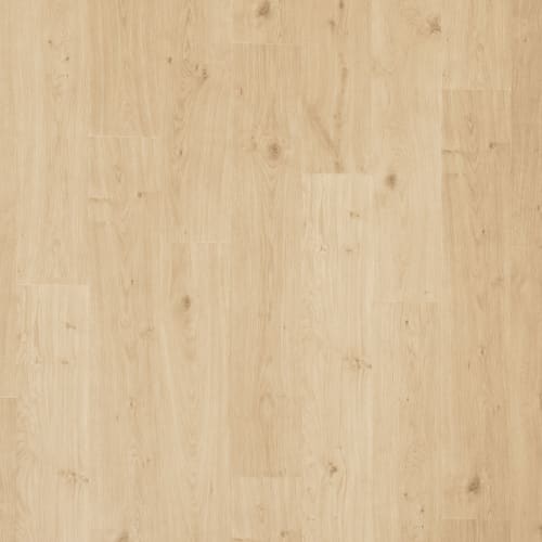 Reeves Plank by Family Friendly Flooring - James