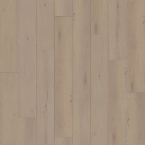 Marlin Plank by Premiere Performance Flooring - Randolph