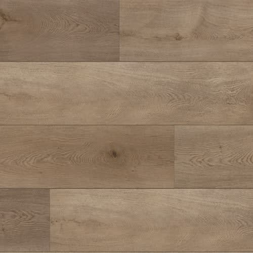 Anderson Plank by Premiere Performance Flooring - Lloyd