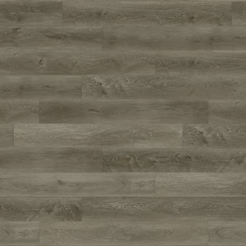 Anderson Plank by Premiere Performance Flooring - Coroglen