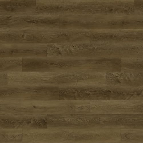 Anderson Plank by Premiere Performance Flooring - Raglan