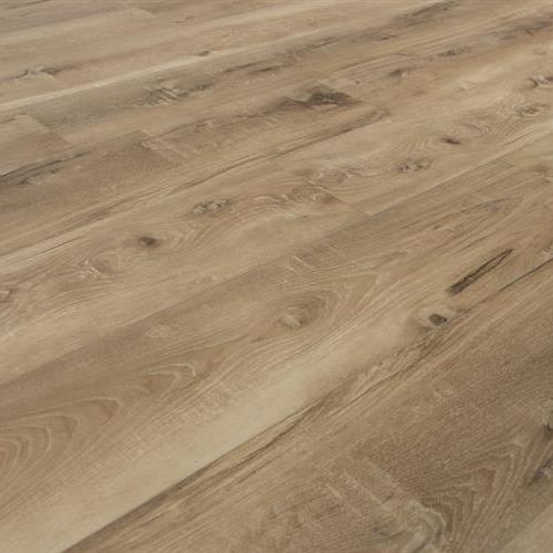 Seaboard Oak