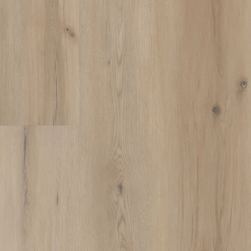 Sea Salt Oak