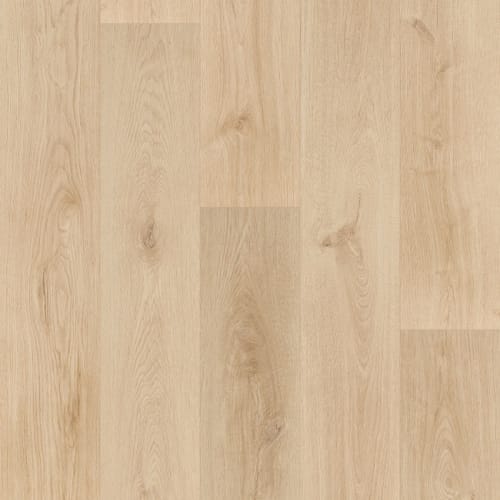 Floormaster Laminate - Standard Hdf by Floormaster