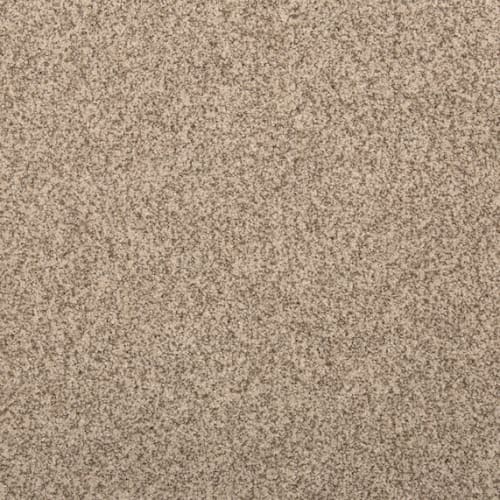 Cordial Mood by Karastan - Pale Taupe