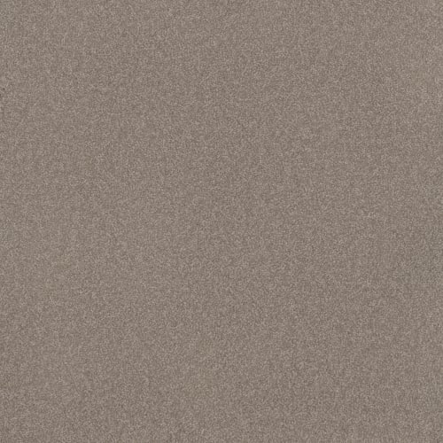 Microban® Polyester - Canvas I by Phenix Carpet - Vellum