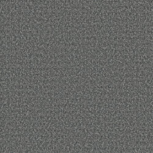Floorever™ Petplus - Cardigan by Phenix Carpet - Sleet