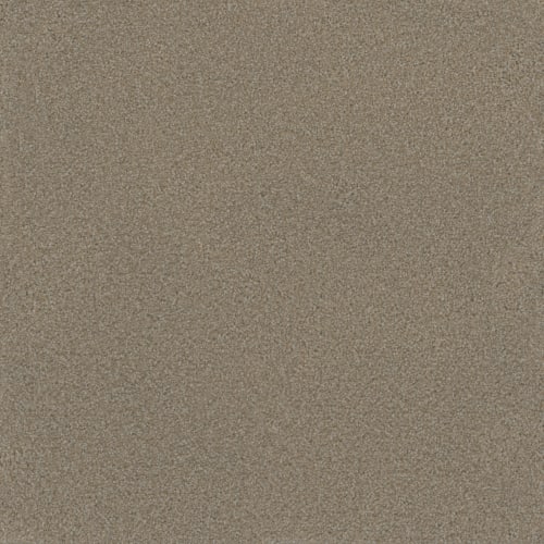 Microban® Polyester - Foundation I by Phenix Carpet - Mineral