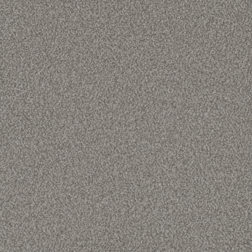 Microban® Polyester - Foundation I by Phenix Carpet - Agate