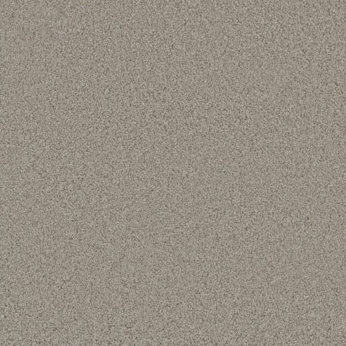 Floorever™ Petplus - Luxe by Phenix Carpet - Ornate