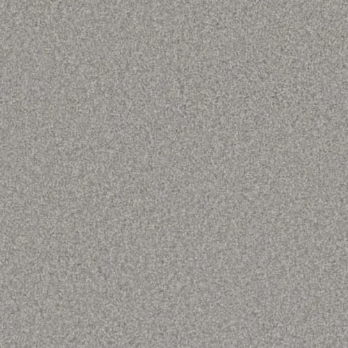 Microban® Polyester - Mirage II by Phenix Carpet - Frost