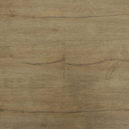 Essentials Plus by Chesapeake Flooring - Sugarloaf