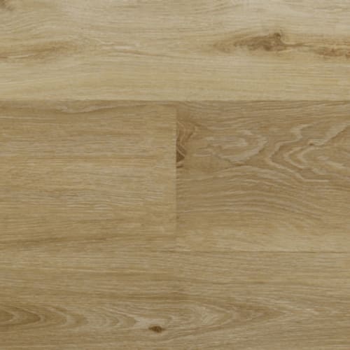 Firmfit Pro by Chesapeake Flooring - Easton