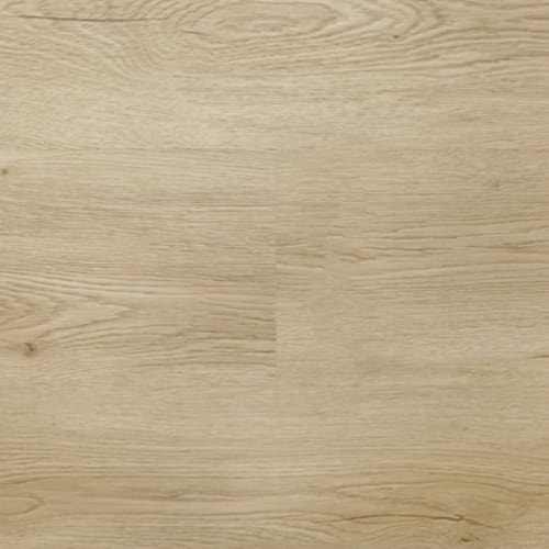 Firmfit Pro by Chesapeake Flooring - Ashford