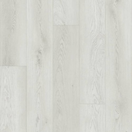 Iverness by Shaw Industries - Feather Grey