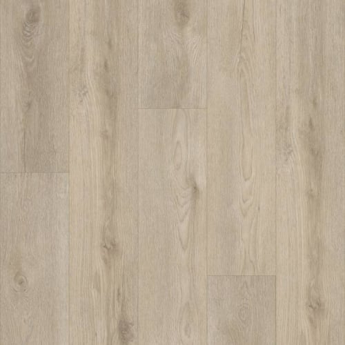 Iverness by Shaw Industries - Soft Beige