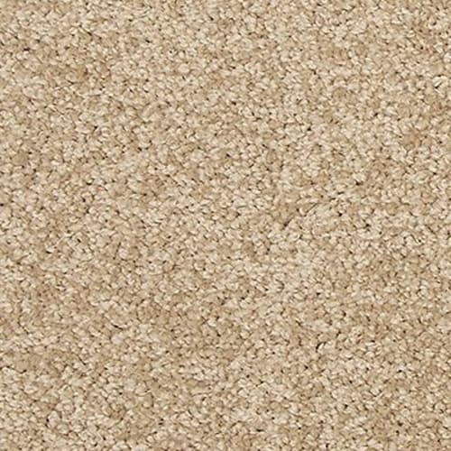 Legend Birch by Carpet City Wisconsin Carpet City WI