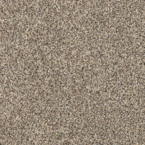 Novelty Acacia by Carpet City Wisconsin Carpet City WI