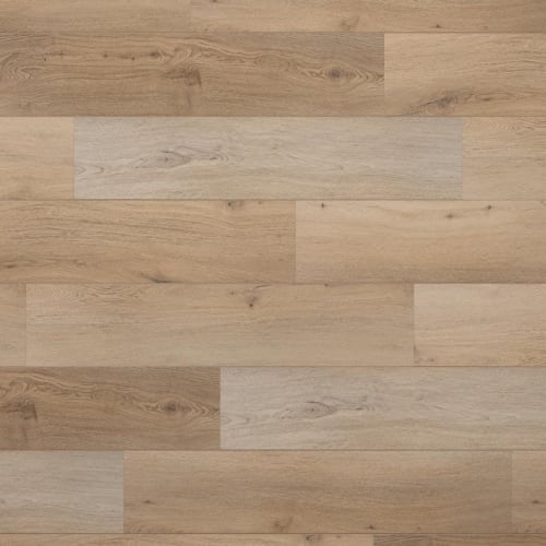 Avondale by Evoke Flooring - Donald