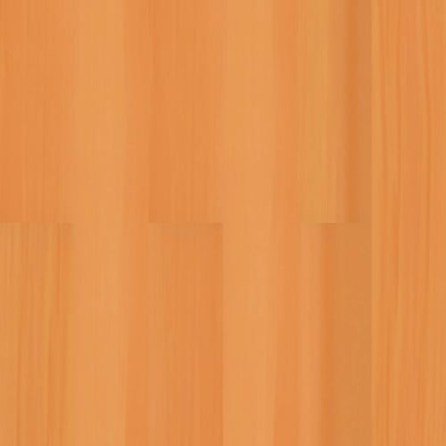 Vivid Orange