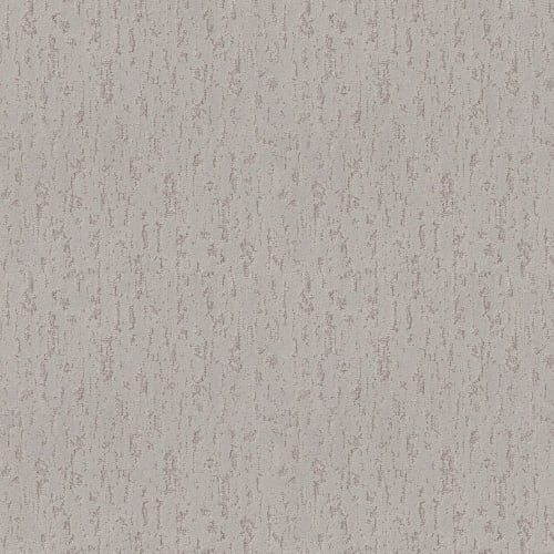 Plaster