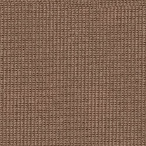Cheerful Attitude by Anderson Tuftex - Copper