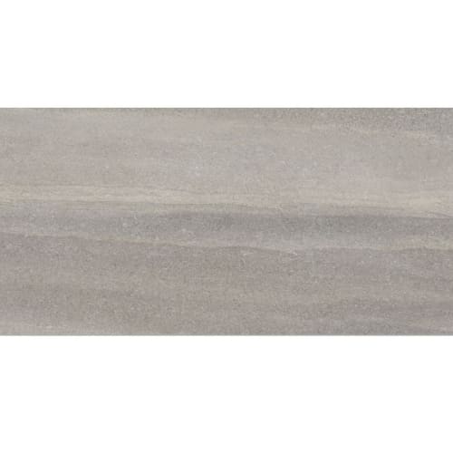 Crux by Ames Tile & Stone - Ash 12"X24"