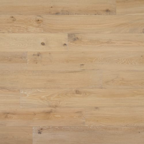 Genesis by Chesapeake Flooring