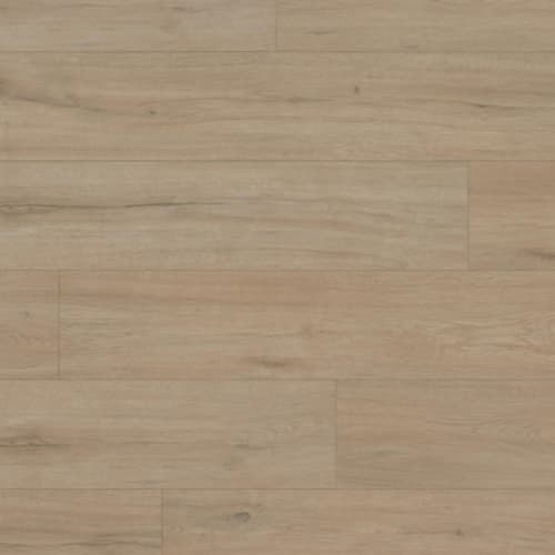 Surge - Rivers by Evoke Flooring - Murray