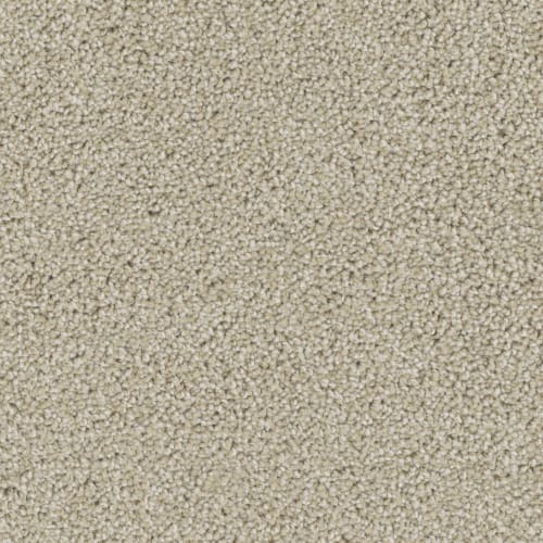 Floorever™ - Bravo by Phenix Carpet - Rave