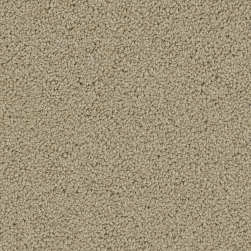 Floorever™ - Bravo by Phenix Carpet