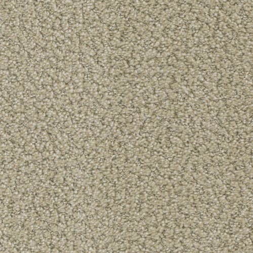 Floorever™ - Crave by Phenix Carpet - Ambition