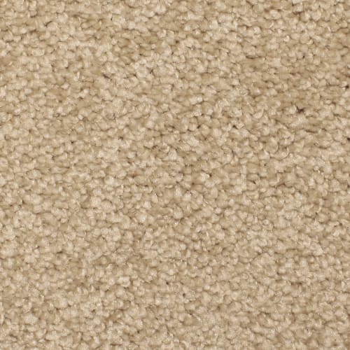 Floorever™ - Ebullient by Phenix Carpet - Attracted