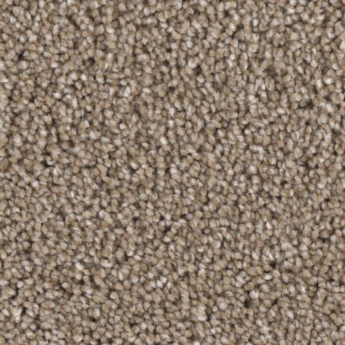 Floorever™ - Ebullient by Phenix Carpet - Brilliant