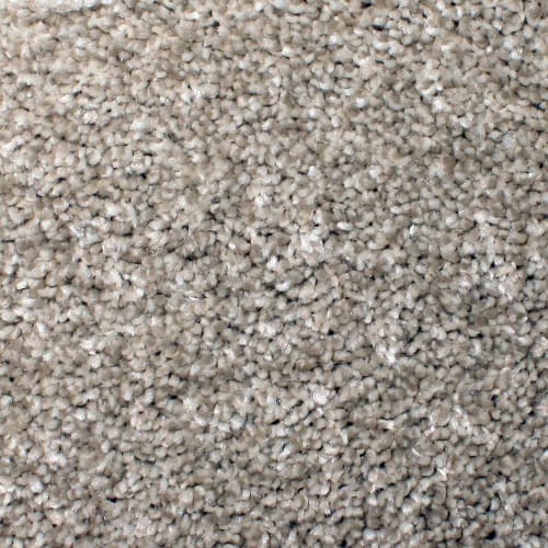 Floorever™ - Ebullient by Phenix Carpet - Cheerful