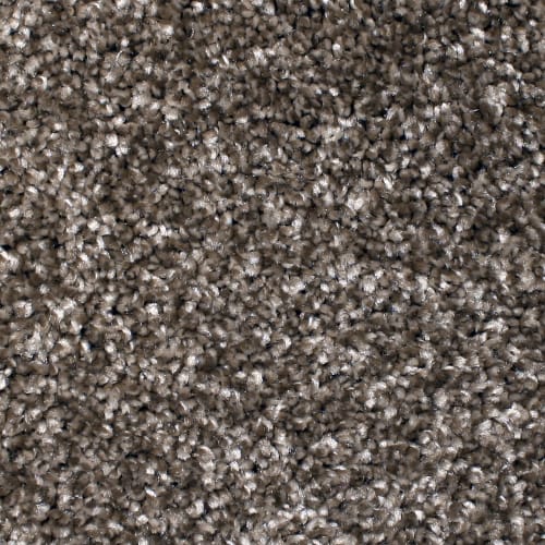 Floorever™ - Ebullient by Phenix Carpet - Upbeat