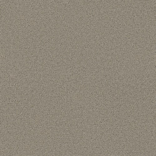 Floorever™ - Ebullient by Phenix Carpet - Pleased