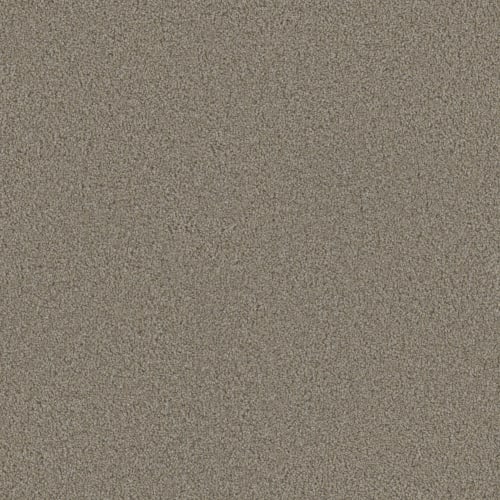 Floorever™ - Eccentric by Phenix Carpet - Petic